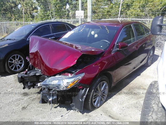 4T1BF1FK9GU524896 - 2016 TOYOTA CAMRY LE/XLE/SE/XSE RED photo 2