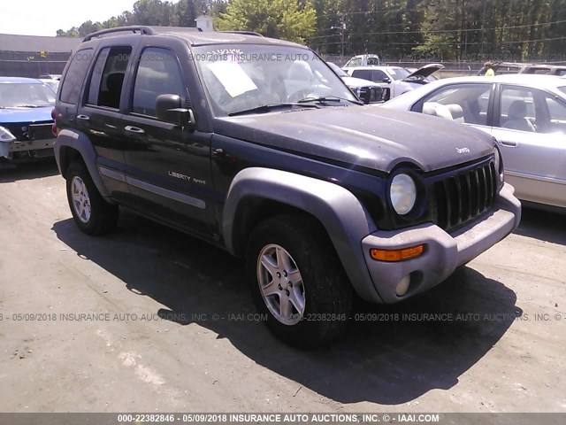 1J4GK48K12W134094 - 2002 JEEP LIBERTY SPORT BLACK photo 1