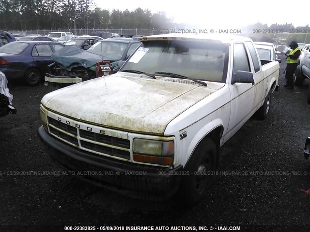 1B7GL23X1RW129000 - 1994 DODGE DAKOTA WHITE photo 2