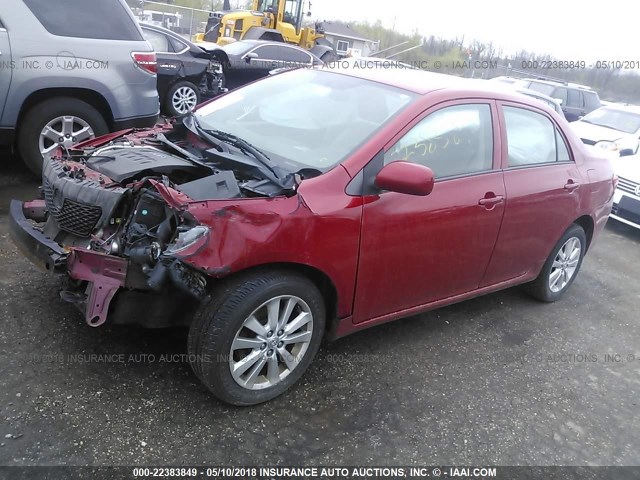 2T1BU4EE1AC290992 - 2010 TOYOTA COROLLA S/LE/XLE RED photo 2