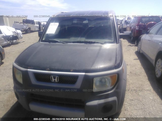 5J6YH18374L006571 - 2004 HONDA ELEMENT LX BLACK photo 6