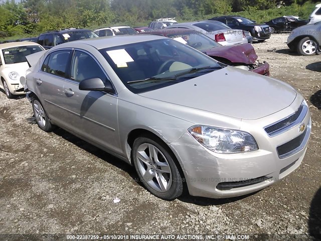 1G1ZB5E03CF135233 - 2012 CHEVROLET MALIBU LS 金色 照片 1