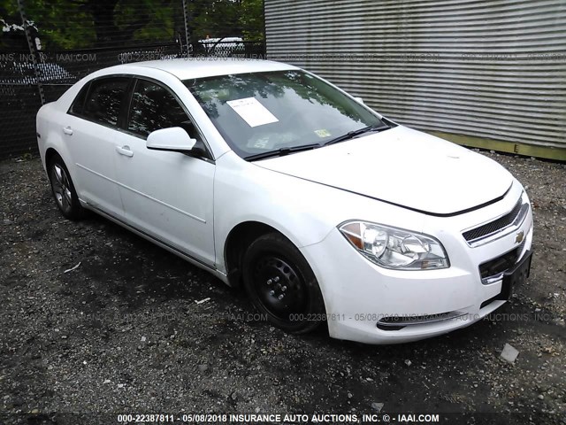 1G1ZC5EB4A4145177 - 2010 CHEVROLET MALIBU 1LT 白色 照片 1