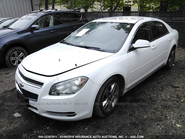 1G1ZC5EB4A4145177 - 2010 CHEVROLET MALIBU 1LT 白色 照片 2