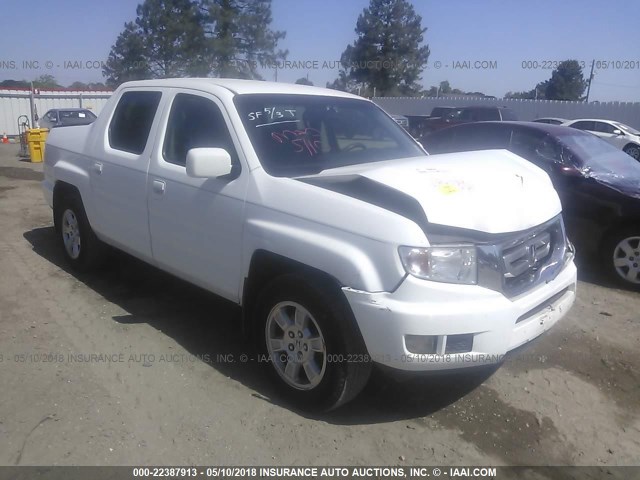 5FPYK1F4XAB008243 - 2010 HONDA RIDGELINE RTS WHITE photo 1