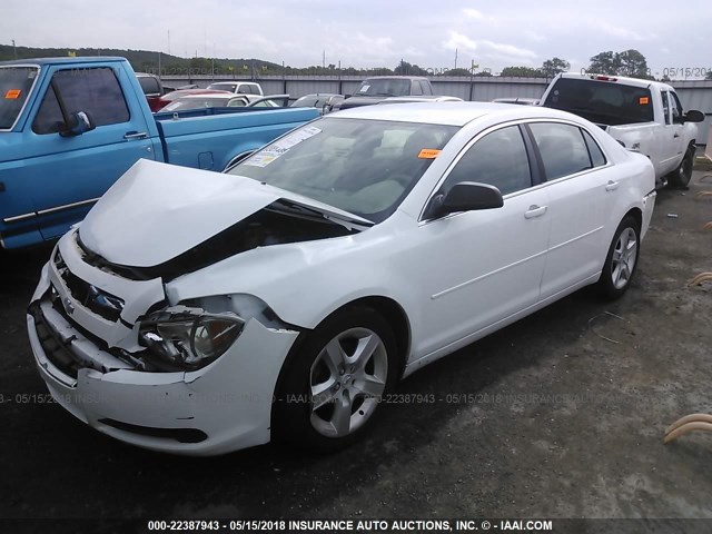 1G1ZB5EB1AF229920 - 2010 CHEVROLET MALIBU LS 白色 照片 2