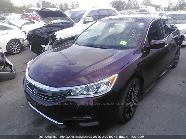 1HGCR2F53HA030991 - 2017 HONDA ACCORD SPORT 栗色 照片 2