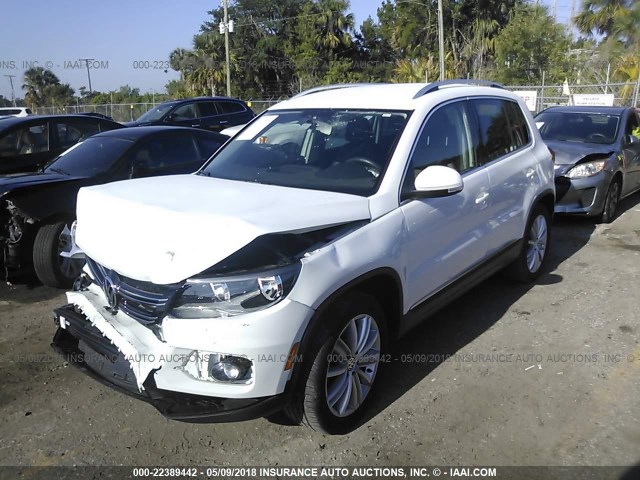 WVGAV3AX3EW608842 - 2014 VOLKSWAGEN TIGUAN S/SE/SEL/R-LINE WHITE photo 2