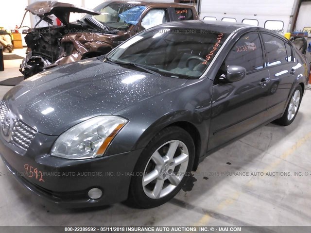 1N4BA41E36C810436 - 2006 NISSAN MAXIMA SE/SL GRAY photo 2