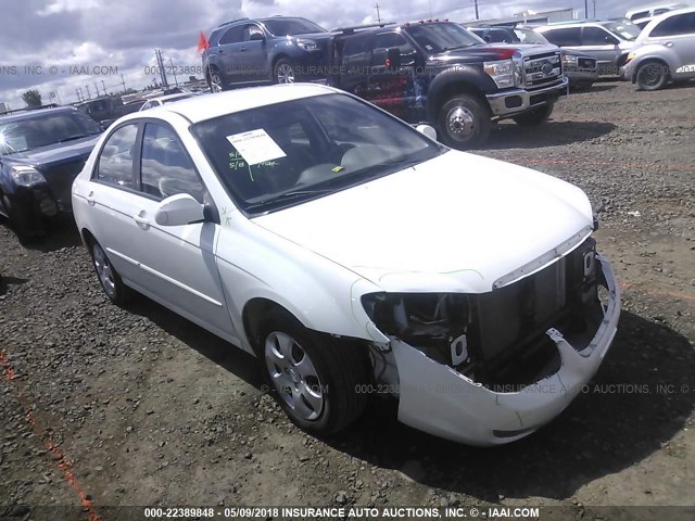 KNAFE221095597208 - 2009 KIA SPECTRA EX/LX/SX WHITE photo 1