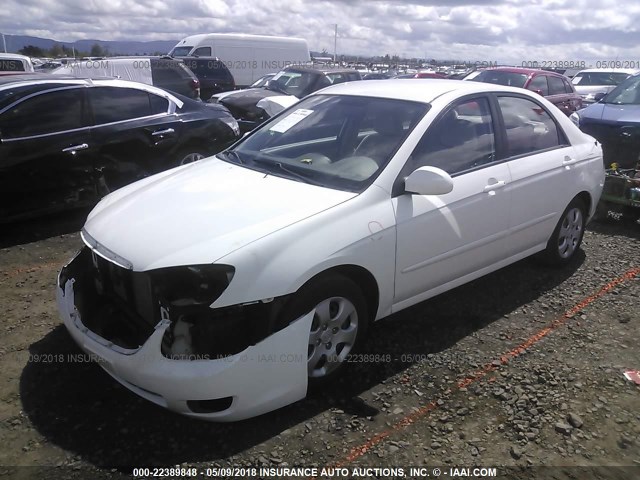 KNAFE221095597208 - 2009 KIA SPECTRA EX/LX/SX WHITE photo 2