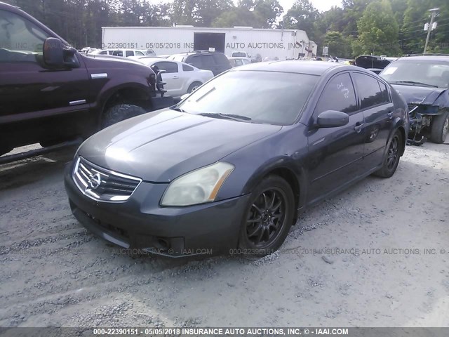 1N4BA41E38C809094 - 2008 NISSAN MAXIMA SE/SL GRAY photo 2