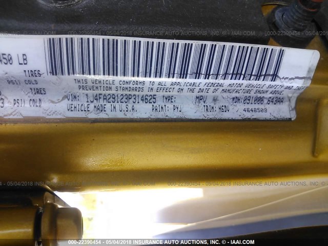 1J4FA29123P314625 - 2003 JEEP WRANGLER / TJ SE GOLD photo 9