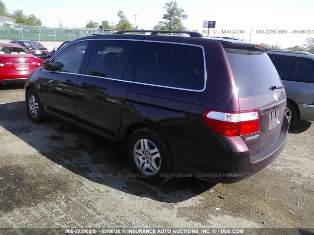 5FNRL38797B063322 - 2007 HONDA ODYSSEY EXL იასამნისფერი ფოტო 3