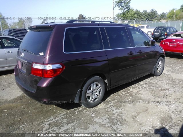 5FNRL38797B063322 - 2007 HONDA ODYSSEY EXL PURPLE photo 4