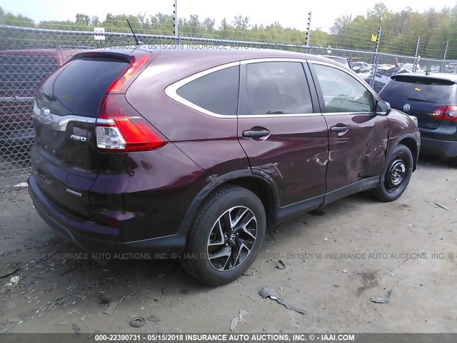 5J6RM4H43GL043289 - 2016 HONDA CR-V SE MAROON photo 4