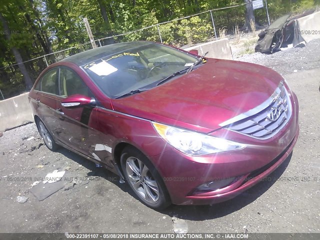 5NPEC4AC8CH368303 - 2012 HYUNDAI SONATA SE/LIMITED RED photo 1