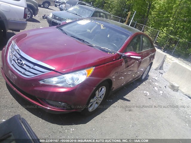 5NPEC4AC8CH368303 - 2012 HYUNDAI SONATA SE/LIMITED RED photo 2