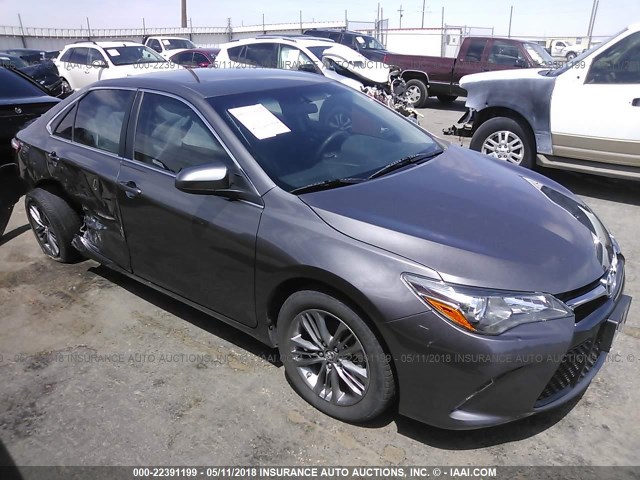 4T1BF1FK4HU314188 - 2017 TOYOTA CAMRY LE/XLE/SE/XSE GRAY photo 1