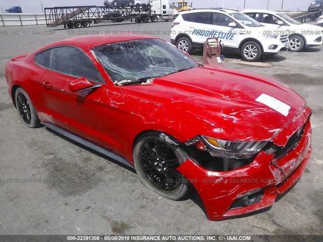 1FA6P8AM5F5331096 - 2015 FORD MUSTANG RED photo 1