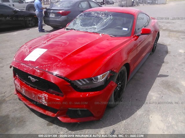 1FA6P8AM5F5331096 - 2015 FORD MUSTANG RED photo 2
