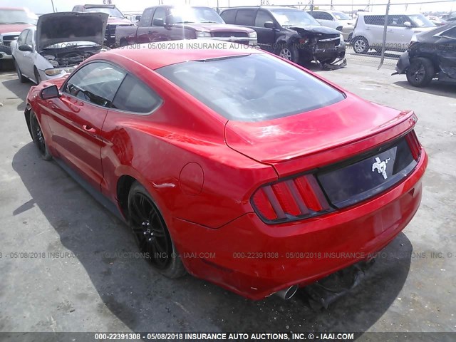 1FA6P8AM5F5331096 - 2015 FORD MUSTANG RED photo 3