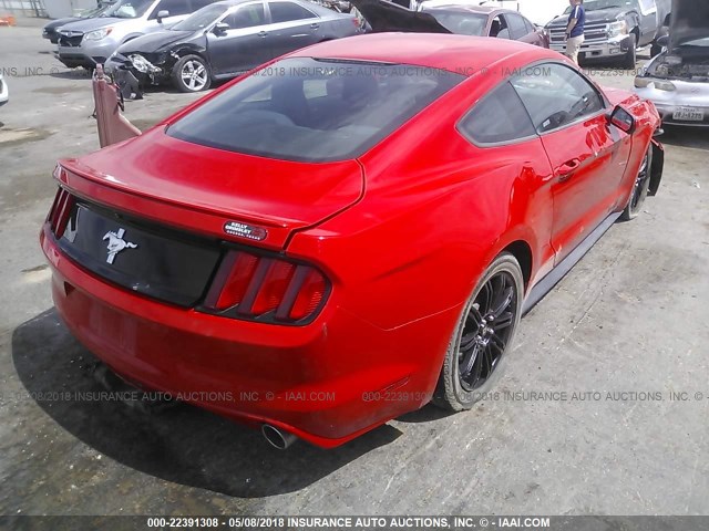 1FA6P8AM5F5331096 - 2015 FORD MUSTANG RED photo 4