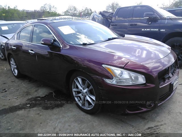 1N4AA5AP6AC807591 - 2010 NISSAN MAXIMA S/SV RED photo 1