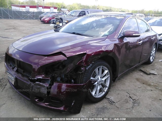 1N4AA5AP6AC807591 - 2010 NISSAN MAXIMA S/SV RED photo 2