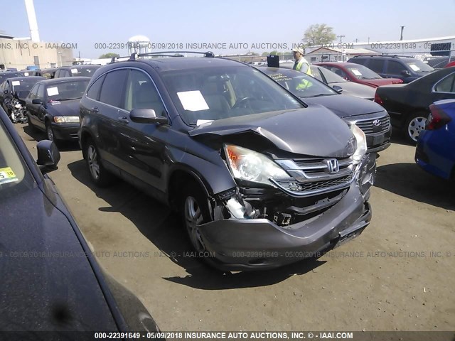 5J6RE4H73AL049799 - 2010 HONDA CR-V EXL BROWN photo 1