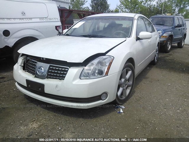 1N4BA41E66C804498 - 2006 NISSAN MAXIMA SE/SL WHITE photo 2