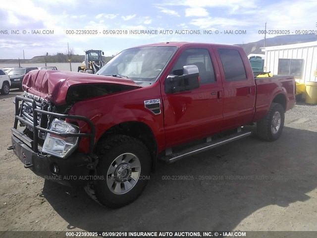 1FTSW2BR5AEA51495 - 2010 FORD F250 SUPER DUTY RED photo 2