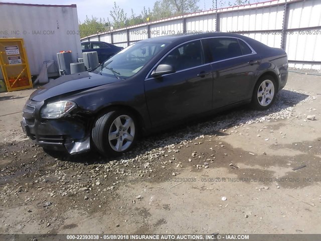 1G1ZB5EB9A4136557 - 2010 CHEVROLET MALIBU LS GRAY photo 2
