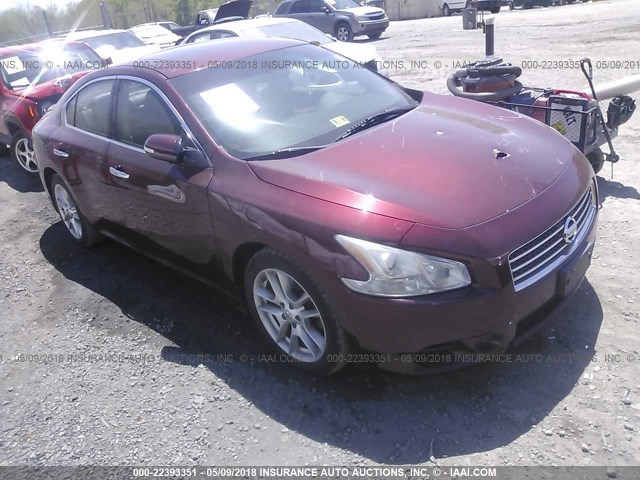 1N4AA5AP2AC819639 - 2010 NISSAN MAXIMA S/SV BURGUNDY photo 1