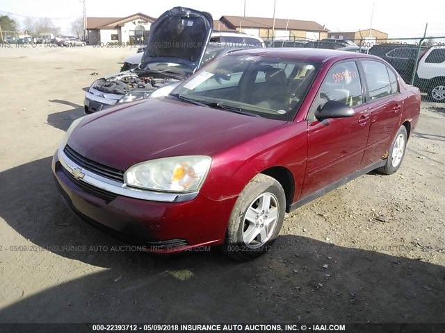 1G1ZT52855F133882 - 2005 CHEVROLET MALIBU LS MAROON photo 2