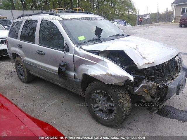 1J4GW48S14C369958 - 2004 JEEP GRAND CHEROKEE LAREDO/COLUMBIA/FREEDOM 银色 照片 1