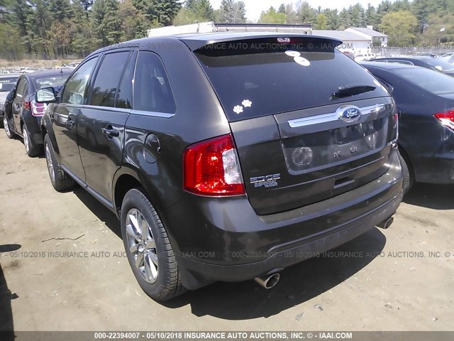 2FMDK4KC3BBA04535 - 2011 FORD EDGE LIMITED BROWN photo 3