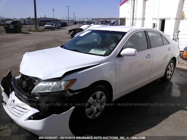 4T4BE46K09R109950 - 2009 TOYOTA CAMRY SE/LE/XLE WHITE photo 2