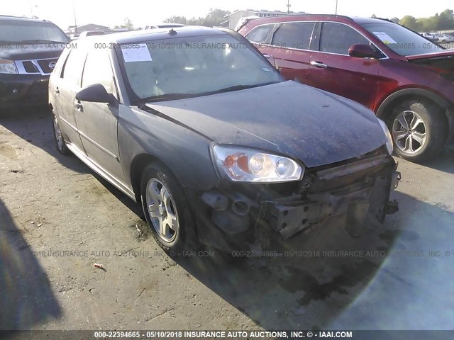 1G1ZU64885F331727 - 2005 CHEVROLET MALIBU MAXX LT GRAY photo 1