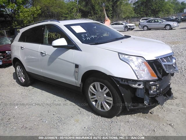 3GYFNDEY4AS634966 - 2010 CADILLAC SRX LUXURY COLLECTION WHITE photo 1