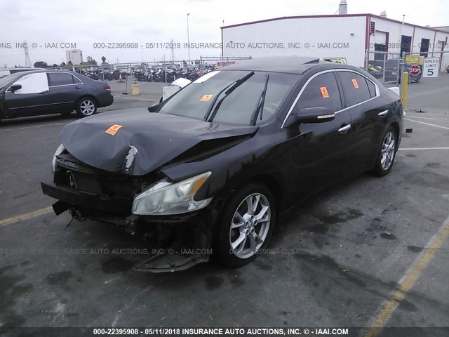 1N4AA5AP3CC835982 - 2012 NISSAN MAXIMA S/SV BLACK photo 2