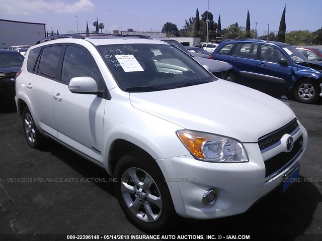 2T3YK4DV2AW006549 - 2010 TOYOTA RAV4 LIMITED WHITE photo 1