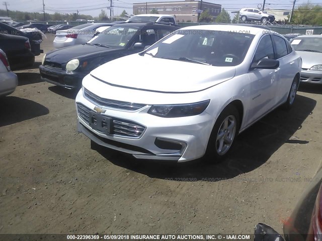 1G1ZB5ST5HF101199 - 2017 CHEVROLET MALIBU LS 白色 照片 2