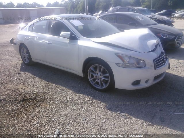 1N4AA5AP7BC804264 - 2011 NISSAN MAXIMA S/SV CREAM photo 1