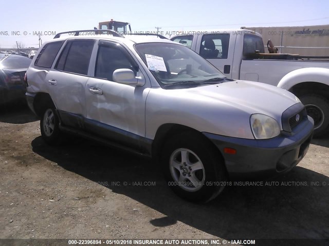 KM8SC13D03U530871 - 2003 HYUNDAI SANTA FE GLS/LX GRAY photo 1