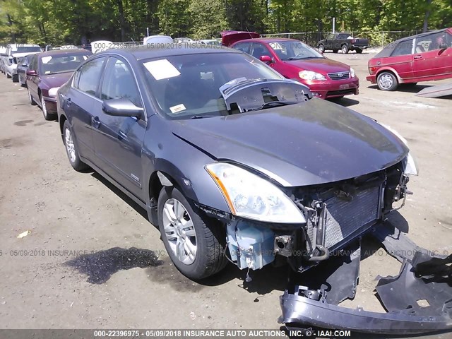 1N4CL2APXBC142682 - 2011 NISSAN ALTIMA HYBRID GRAY photo 1