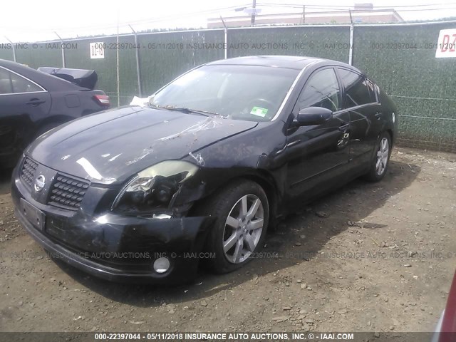 1N4BA41E54C872661 - 2004 NISSAN MAXIMA SE/SL BLACK photo 2