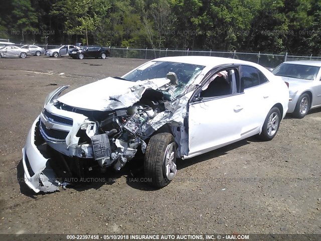 1G11B5SA3DF169216 - 2013 CHEVROLET MALIBU LS WHITE photo 2