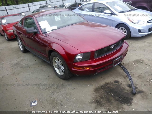 1ZVFT80N675252521 - 2007 FORD MUSTANG RED photo 1