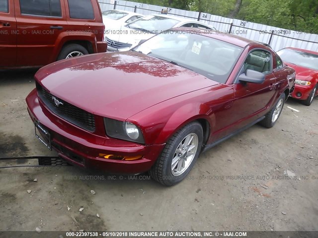 1ZVFT80N675252521 - 2007 FORD MUSTANG RED photo 2